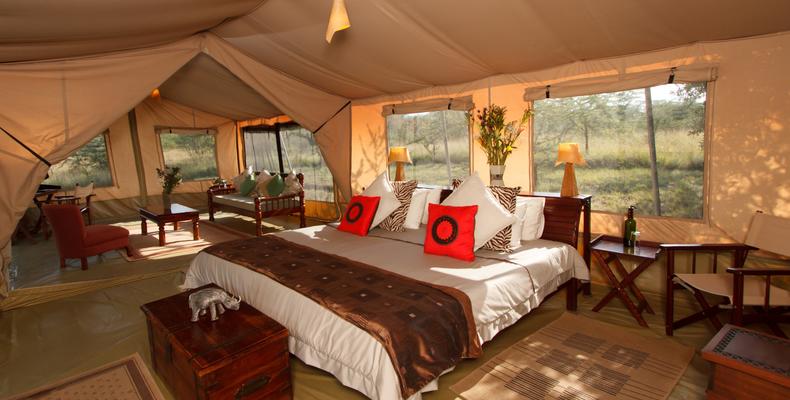 Spacious tents - 2 Suites.